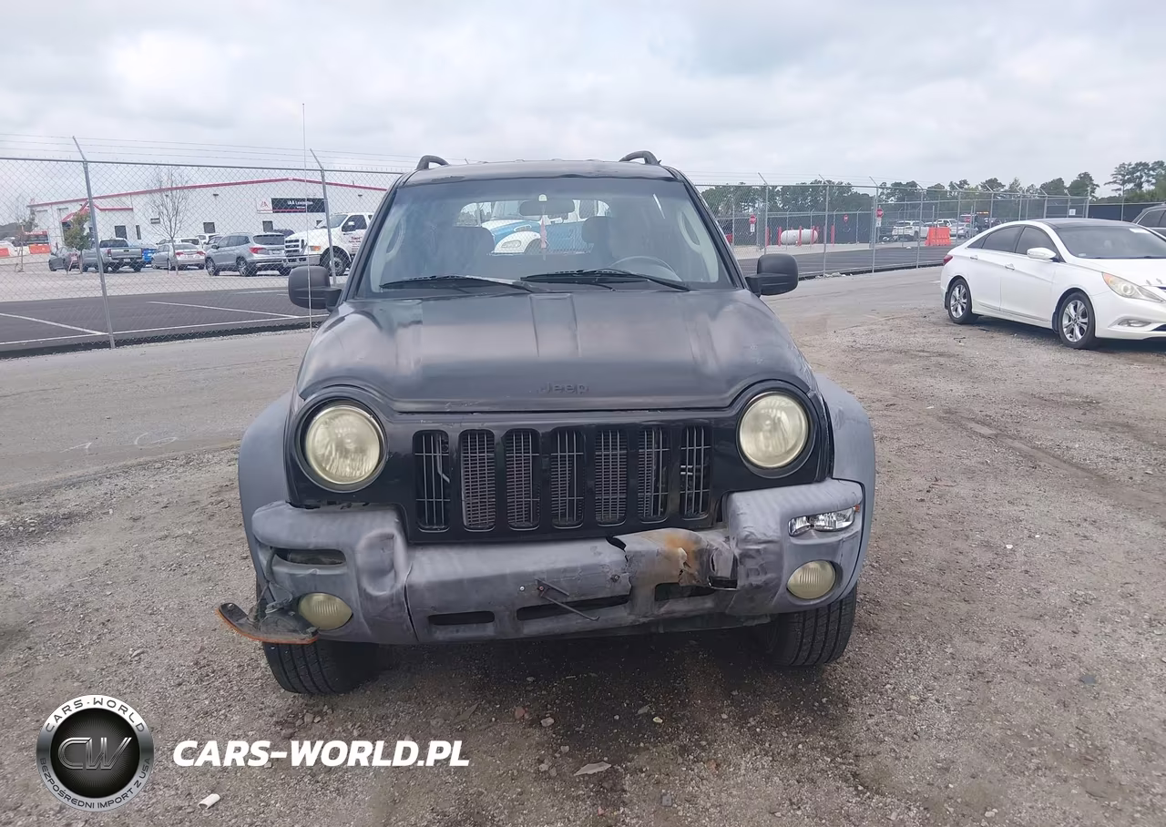 2002 Jeep Liberty Sport VIN:1J4GL48K92W233596 - 13