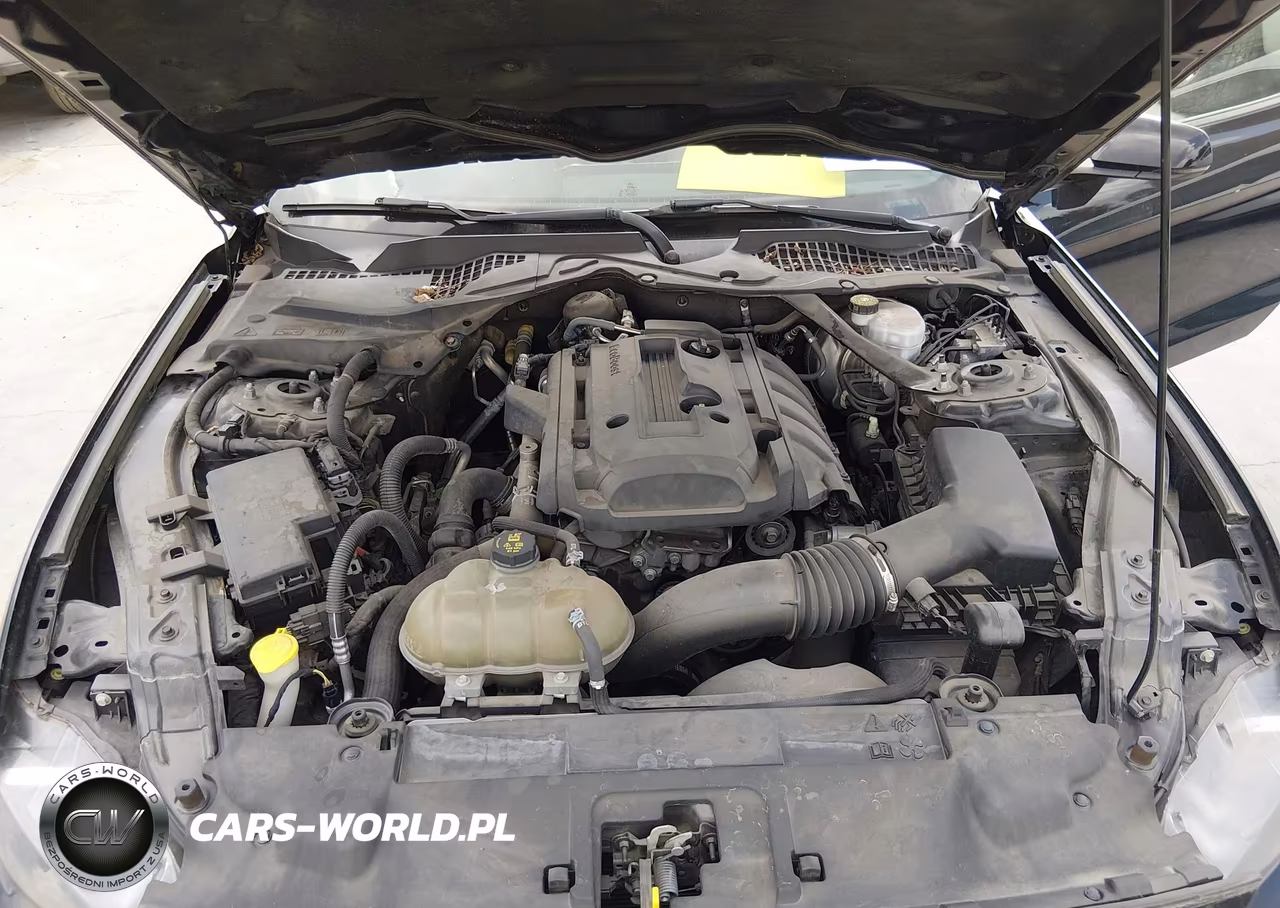 2018 Ford Mustang Ecoboost Premium VIN:1FATP8UH3J5166465 - 10