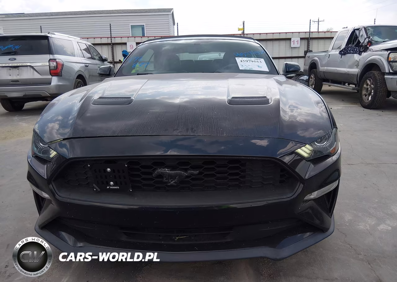 2018 Ford Mustang Ecoboost Premium VIN:1FATP8UH3J5166465 - 12