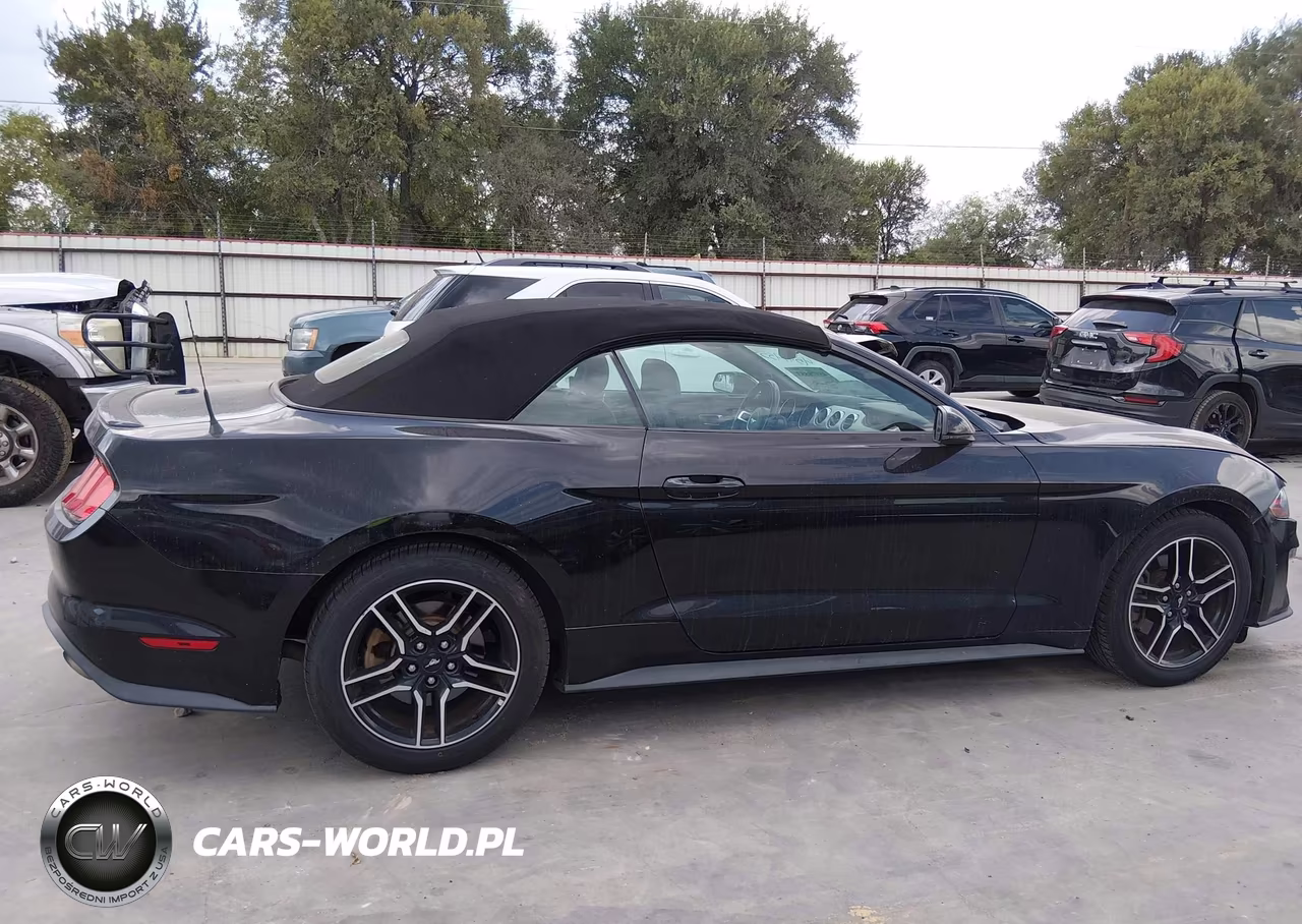 2018 Ford Mustang Ecoboost Premium VIN:1FATP8UH3J5166465 - 13