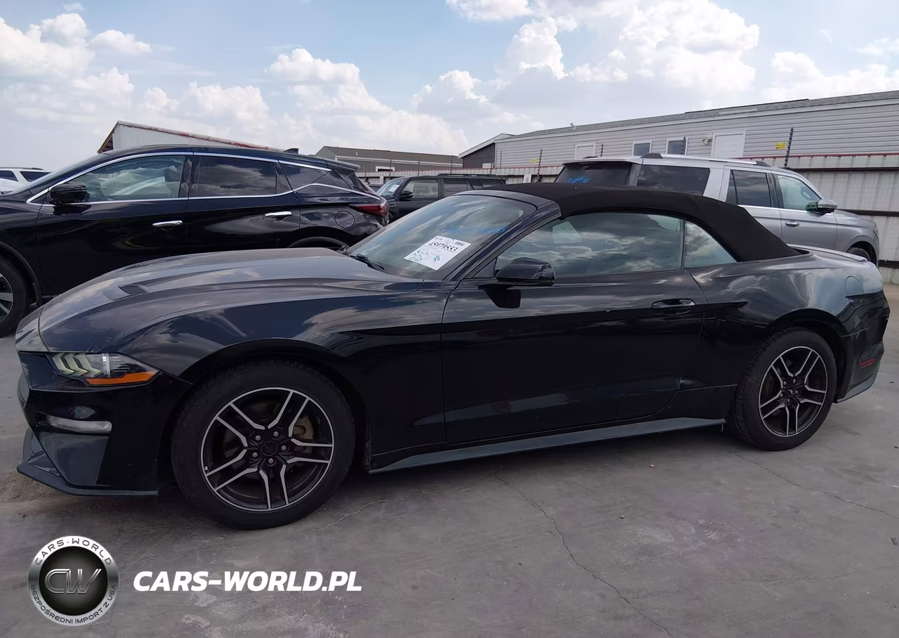 2018 Ford Mustang Ecoboost Premium VIN:1FATP8UH3J5166465 - 14