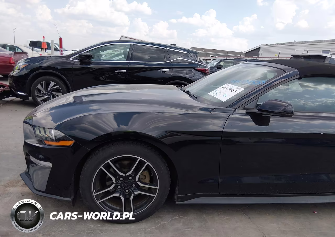 2018 Ford Mustang Ecoboost Premium VIN:1FATP8UH3J5166465 - 18