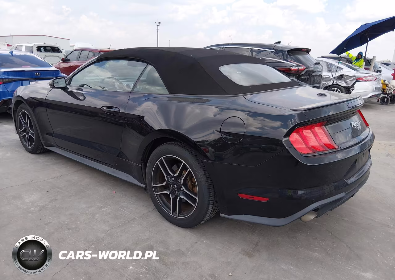 2018 Ford Mustang Ecoboost Premium VIN:1FATP8UH3J5166465 - 3