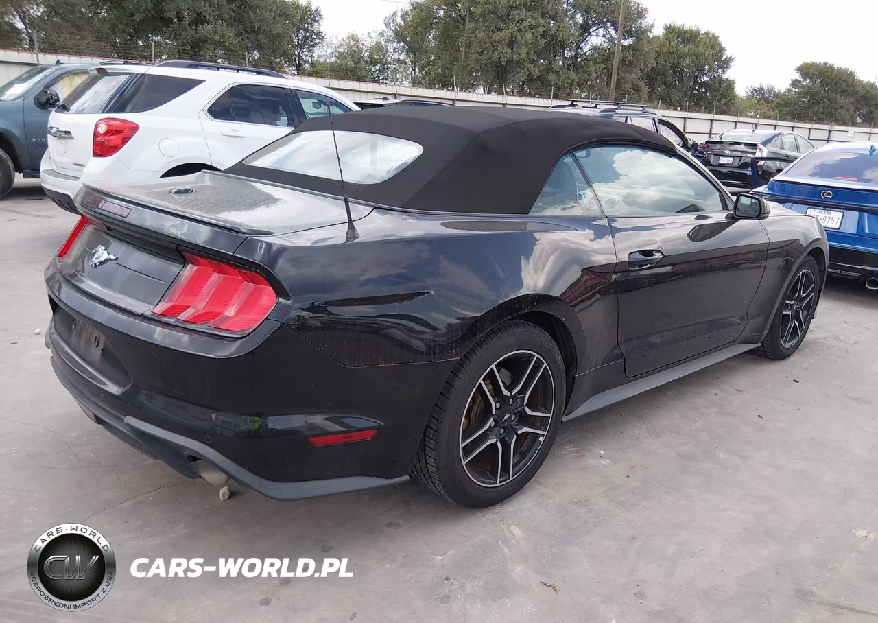 2018 Ford Mustang Ecoboost Premium VIN:1FATP8UH3J5166465 - 4