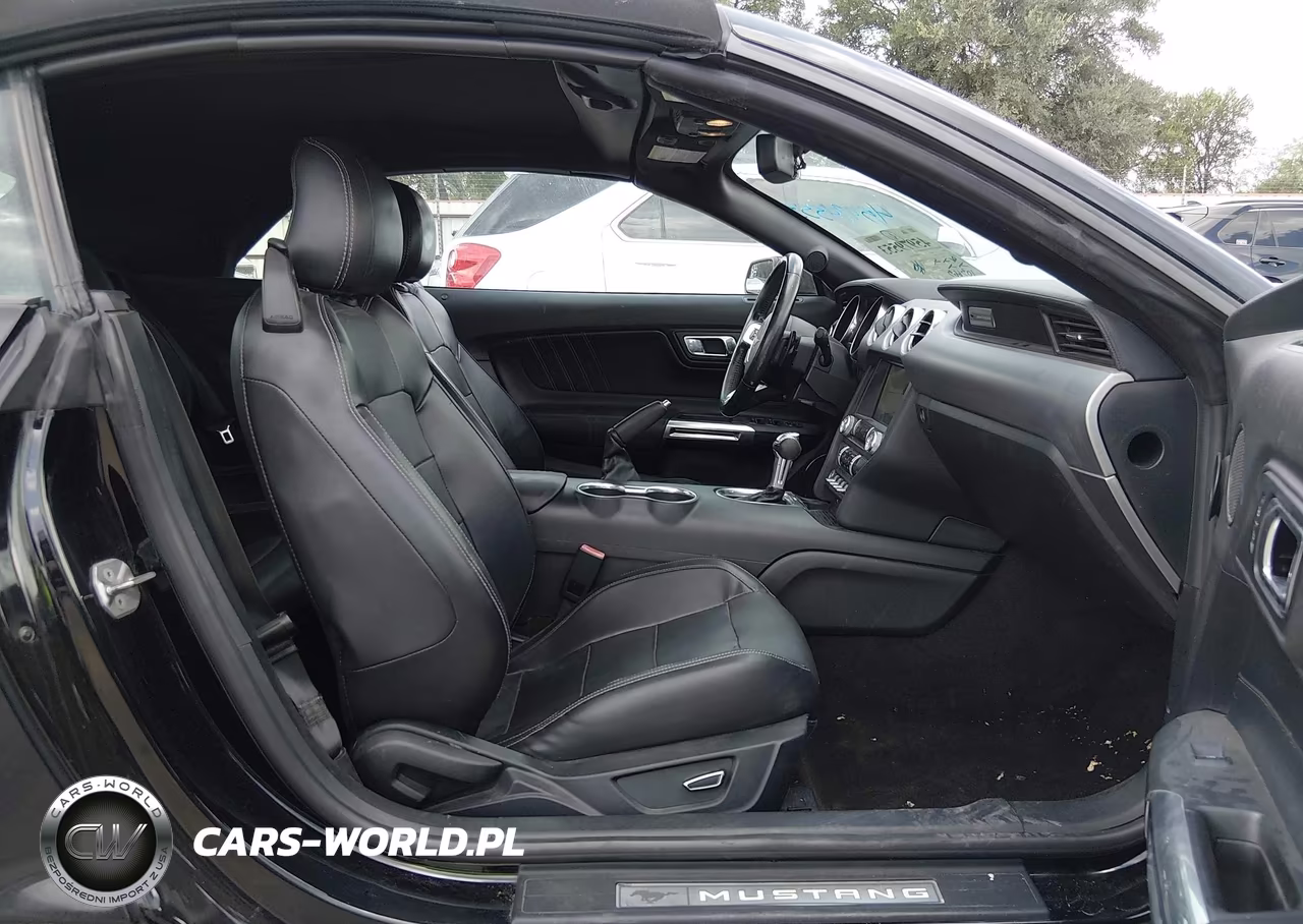 2018 Ford Mustang Ecoboost Premium VIN:1FATP8UH3J5166465 - 5