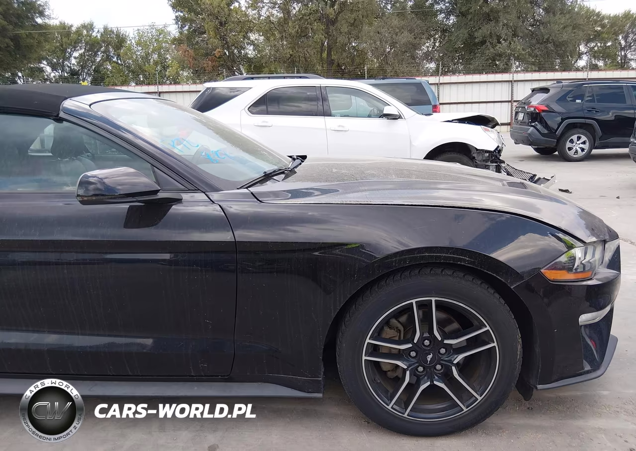 2018 Ford Mustang Ecoboost Premium VIN:1FATP8UH3J5166465 - 6