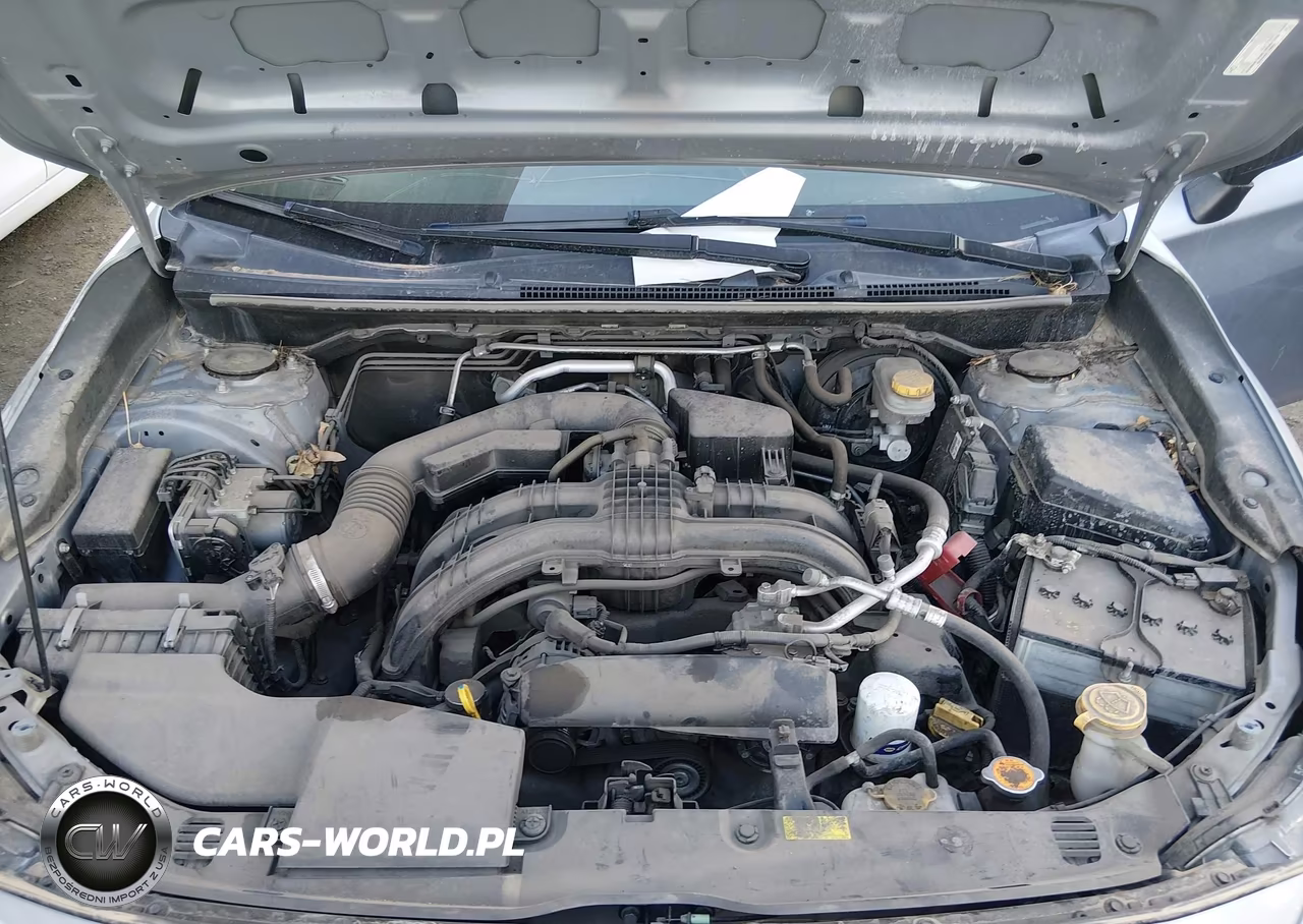 2019 Subaru Crosstrek 2.0I VIN:JF2GTABC1K8309131 - 10