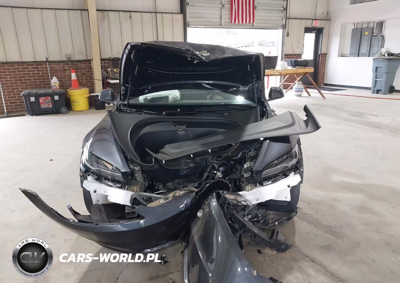 2025 Tesla Model 3 Long Range Rear-Wheel Drive-Standard Rear-Wheel Drive VIN:5YJ3E1EA9SF027837 - 10