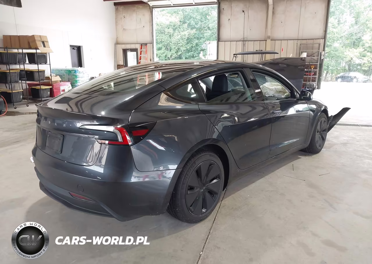 2025 Tesla Model 3 Long Range Rear-Wheel Drive-Standard Rear-Wheel Drive VIN:5YJ3E1EA9SF027837 - 4