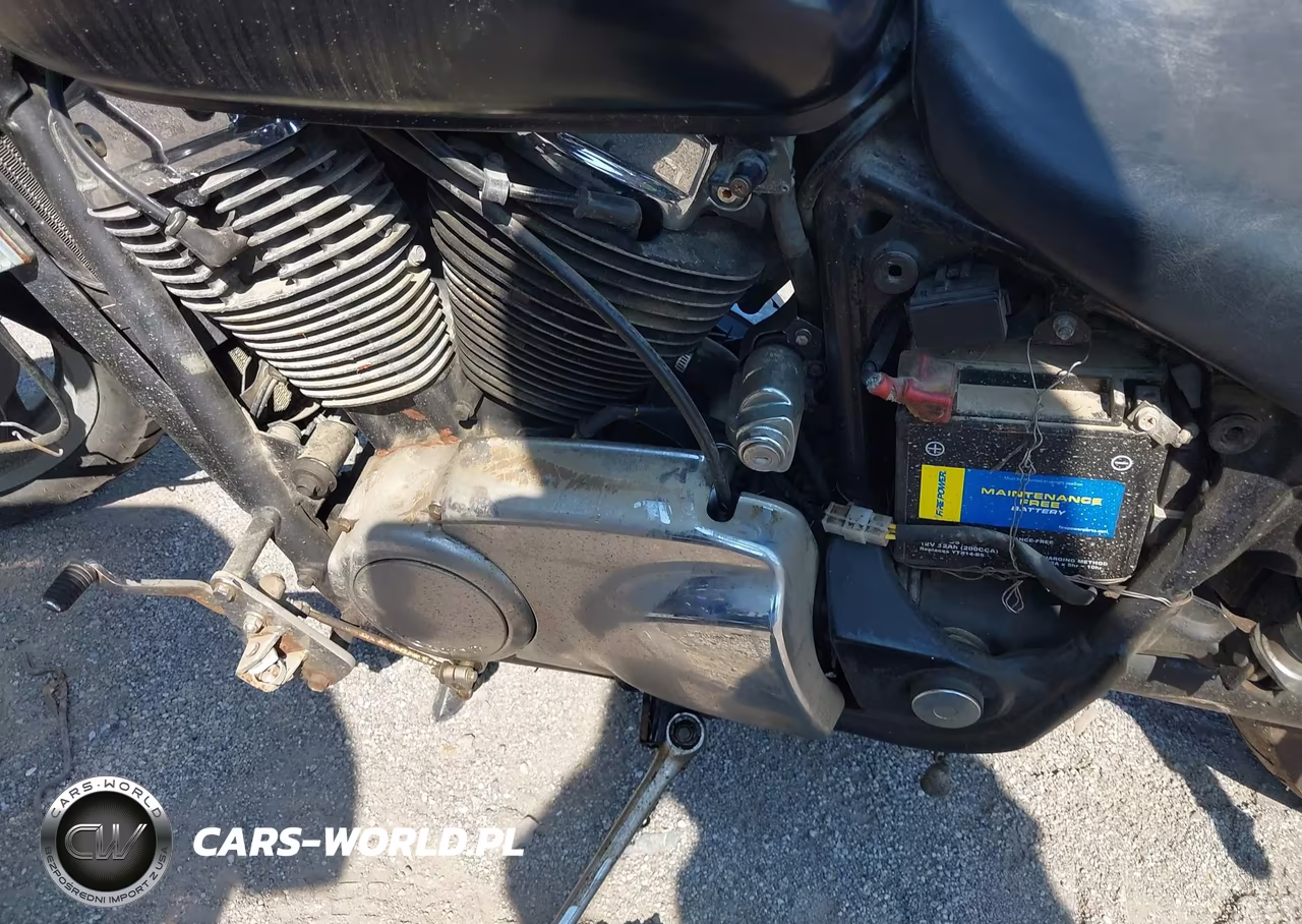 2000 Honda Vt1100 C2 VIN:1HFSC4305YA003913 - 9