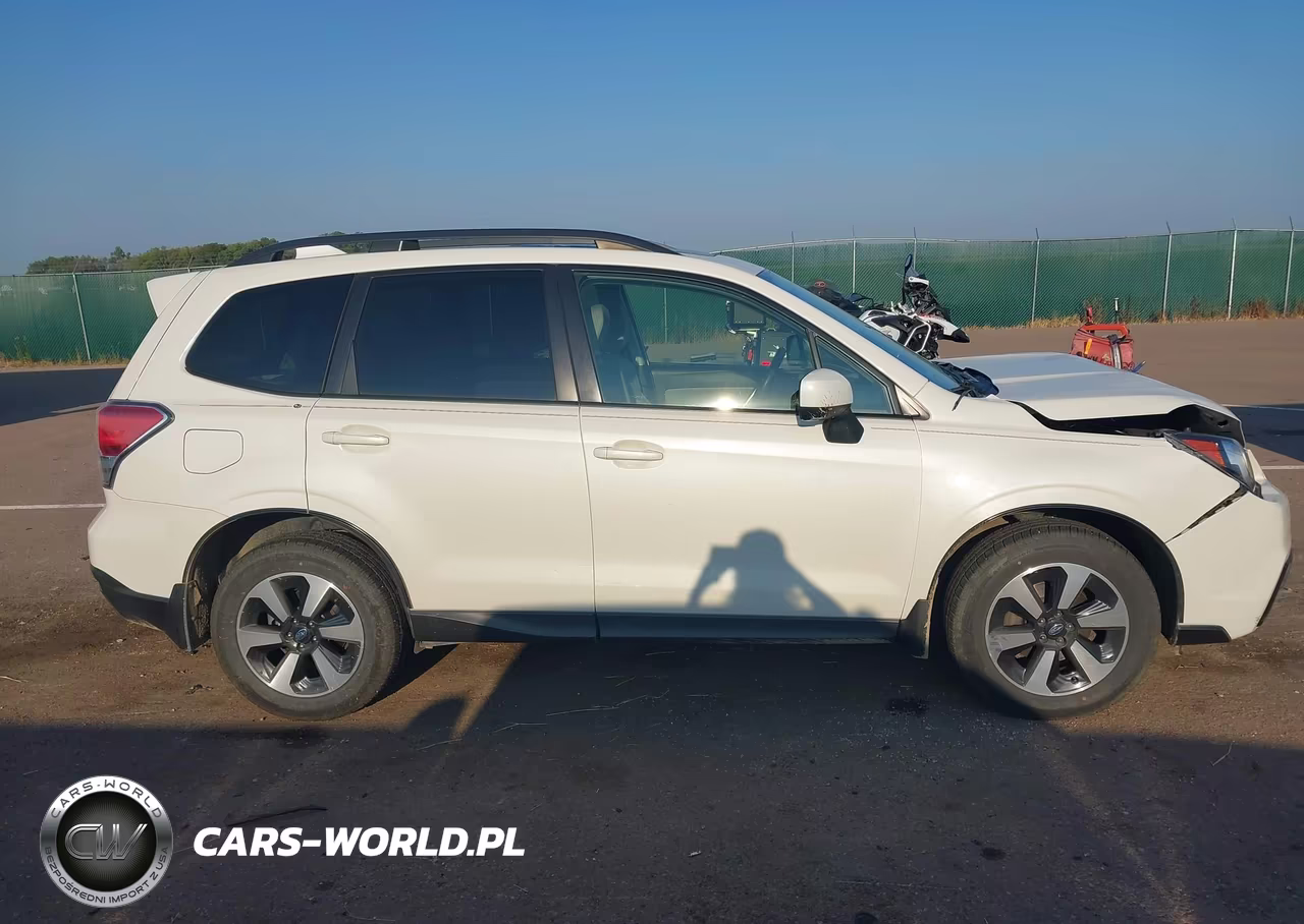2017 Subaru Forester 2.5I Premium VIN:JF2SJAEC7HH523626 - 13