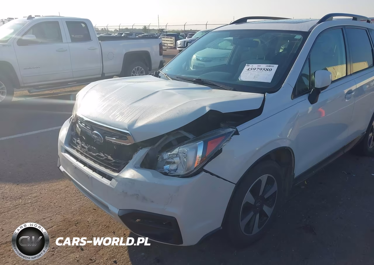 2017 Subaru Forester 2.5I Premium VIN:JF2SJAEC7HH523626 - 6