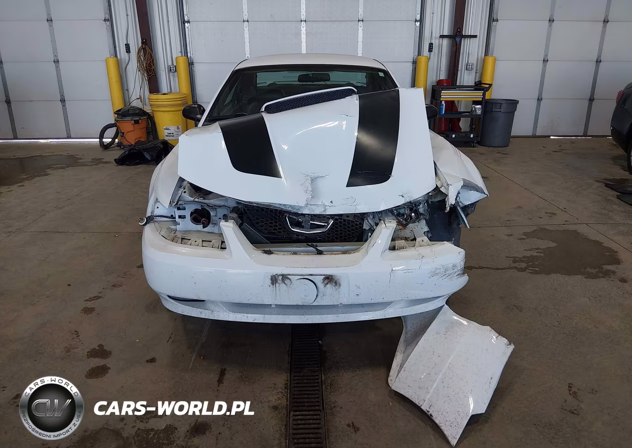 2002 Ford Mustang Gt VIN:1FAFP42X02F159534 - 12