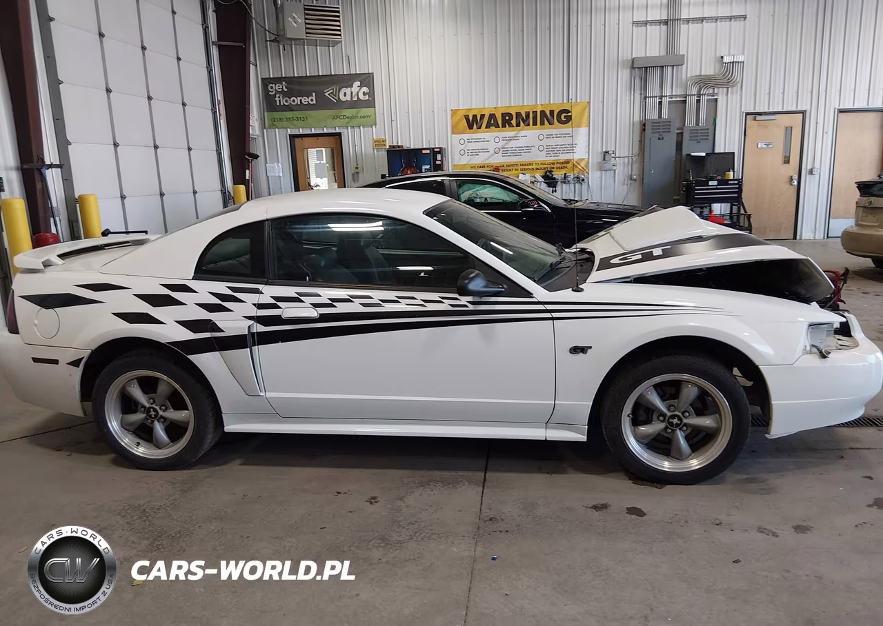 2002 Ford Mustang Gt VIN:1FAFP42X02F159534 - 13