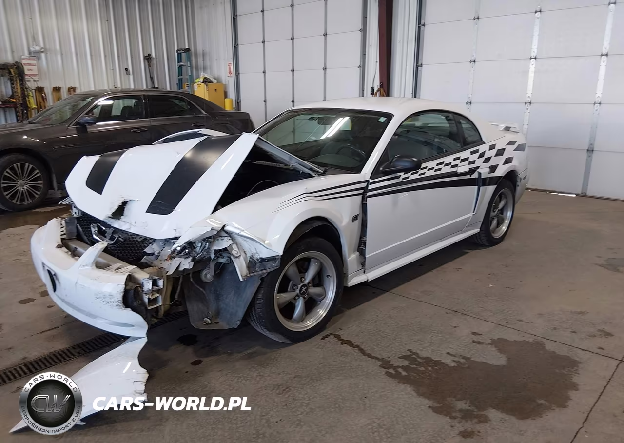 2002 Ford Mustang Gt VIN:1FAFP42X02F159534 - 2