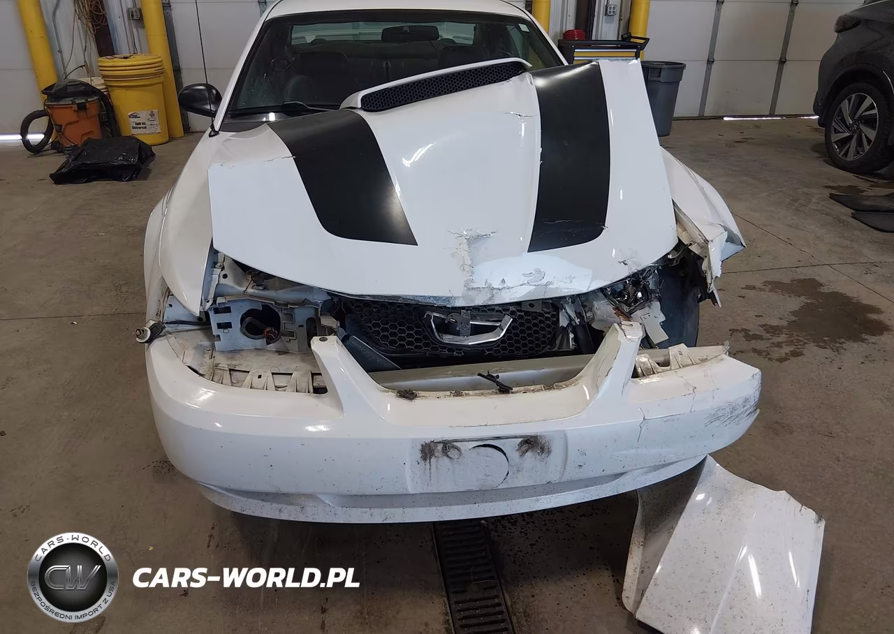 2002 Ford Mustang Gt VIN:1FAFP42X02F159534 - 6