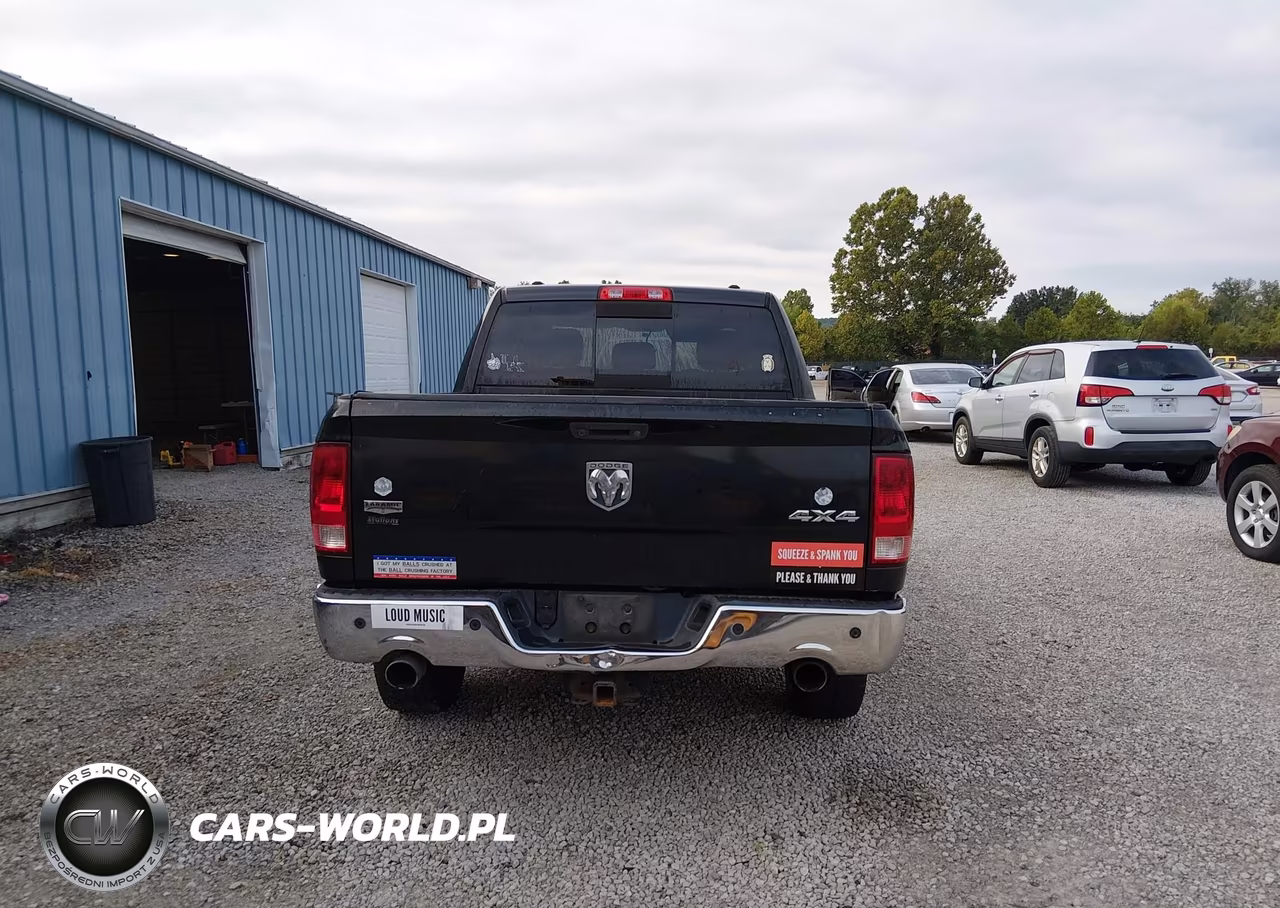 2010 Dodge Ram 1500 Laramie VIN:1D7RV1CT0AS114127 - 16