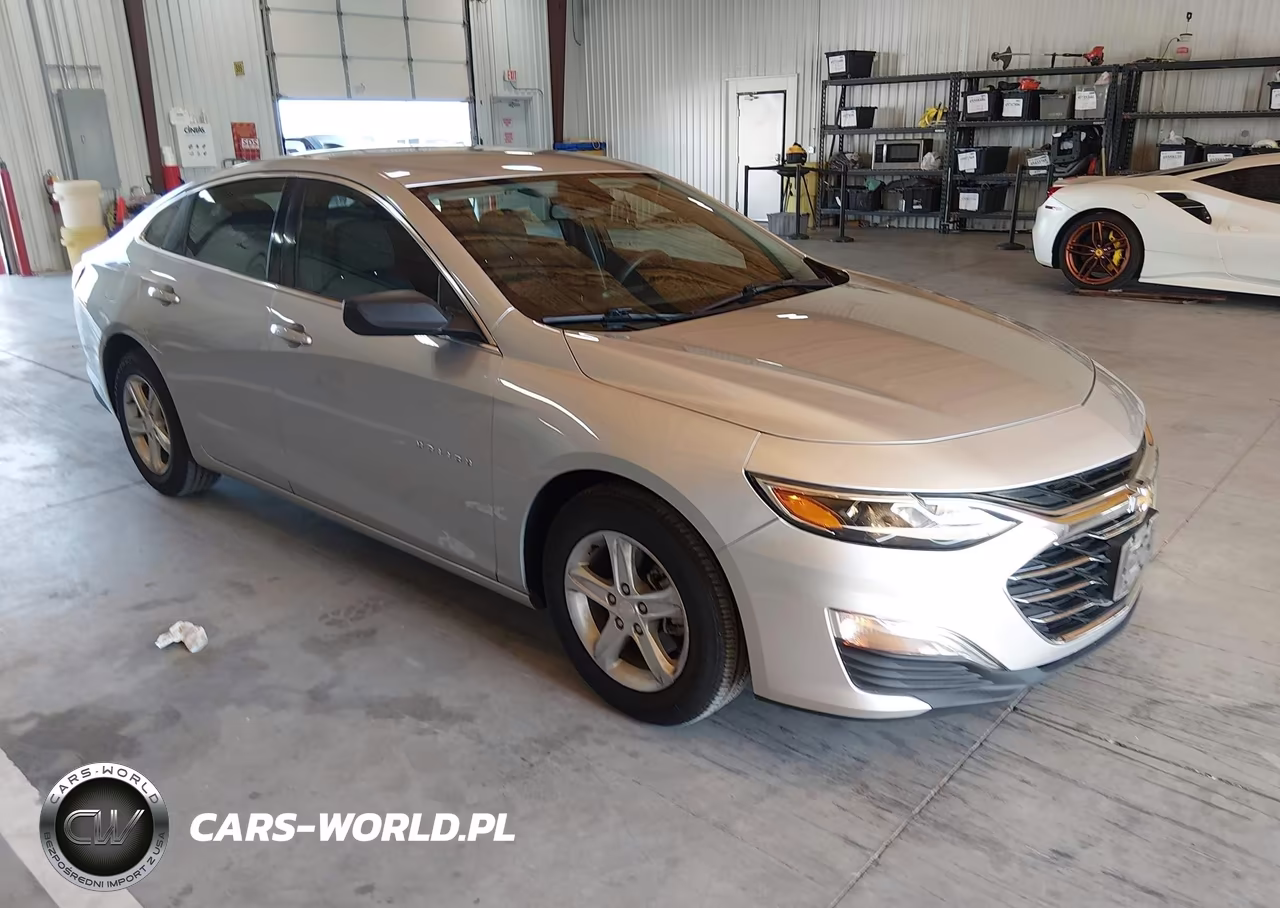2019 Chevrolet Malibu 1Fl