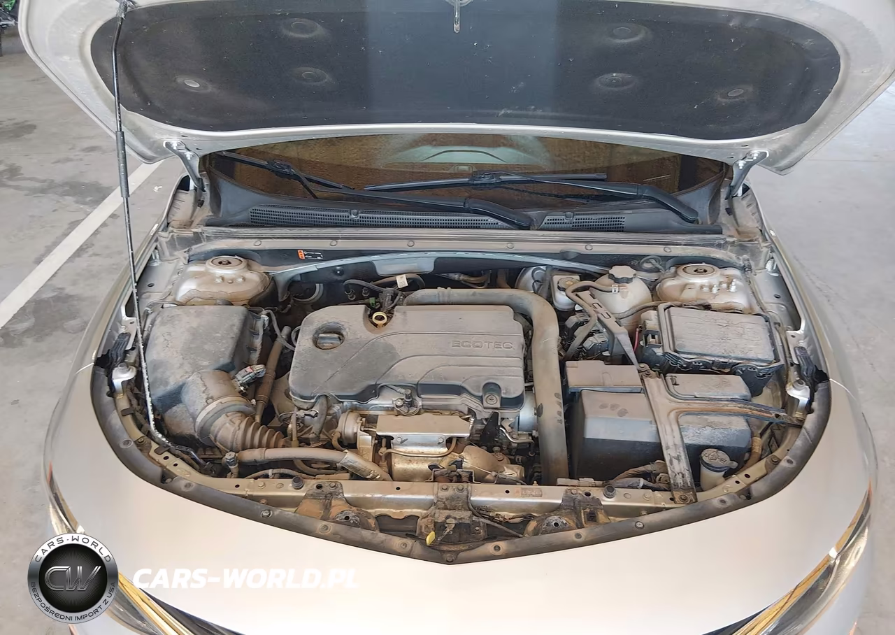 2019 Chevrolet Malibu 1Fl VIN:1G1ZC5ST2KF197927 - 10