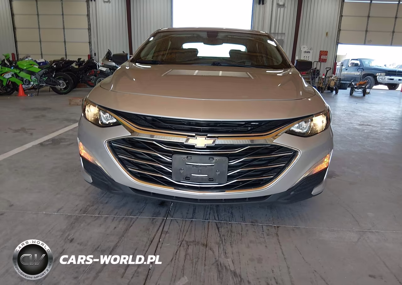 2019 Chevrolet Malibu 1Fl VIN:1G1ZC5ST2KF197927 - 12