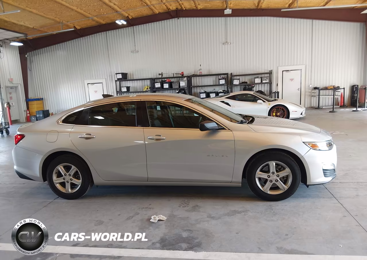2019 Chevrolet Malibu 1Fl VIN:1G1ZC5ST2KF197927 - 13