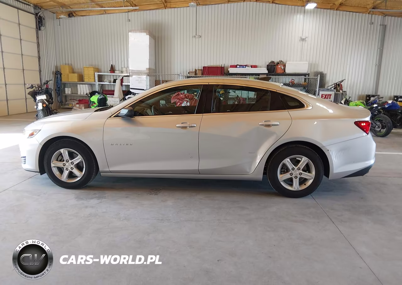 2019 Chevrolet Malibu 1Fl VIN:1G1ZC5ST2KF197927 - 14