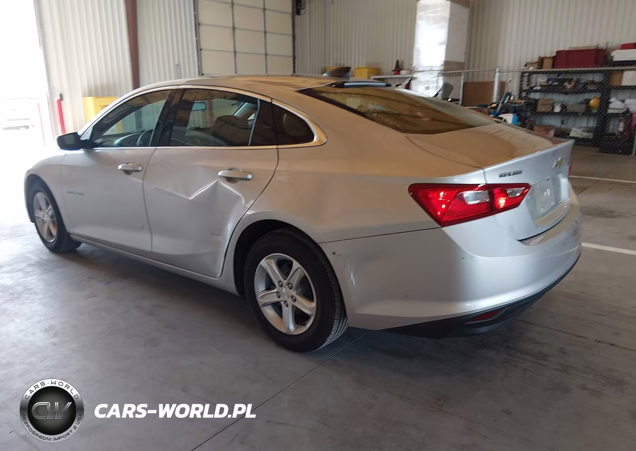 2019 Chevrolet Malibu 1Fl VIN:1G1ZC5ST2KF197927 - 3