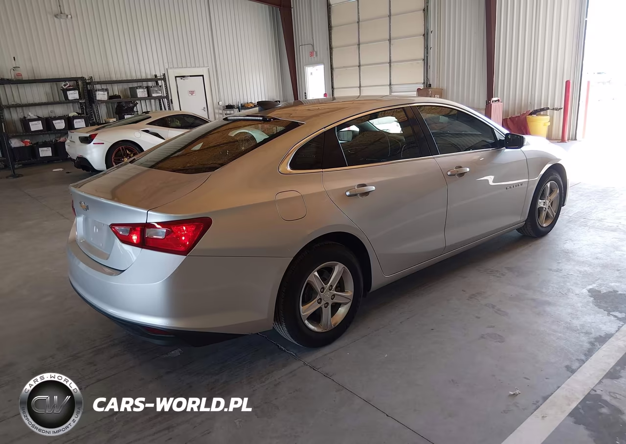 2019 Chevrolet Malibu 1Fl VIN:1G1ZC5ST2KF197927 - 4