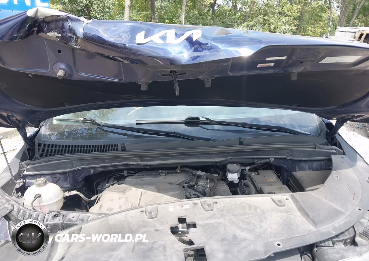 2023 Kia Carnival Mpv Lx Seat Package VIN:KNDNB4H39P6241519 - 10