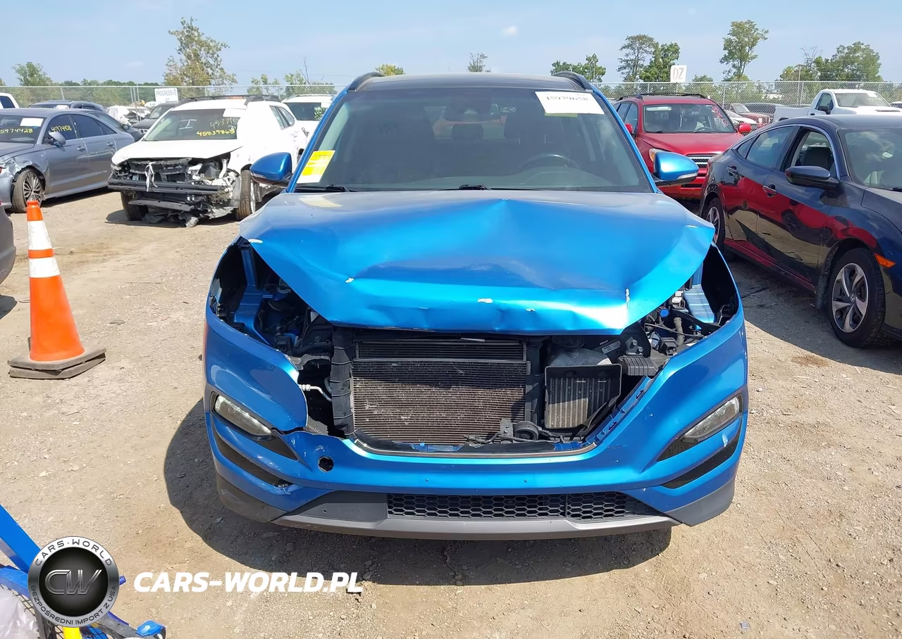 2016 Hyundai Tucson Limited VIN:KM8J3CA21GU041815 - 6