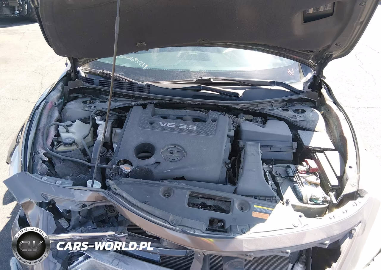2013 Nissan Altima 3.5 Sl VIN:1N4BL3AP0DN416545 - 10