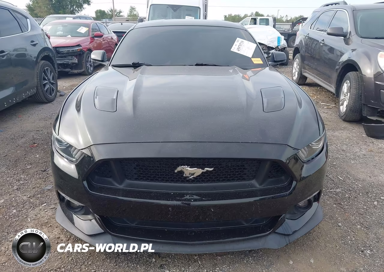 2016 Ford Mustang Gt Premium VIN:1FA6P8CF1G5240293 - 12