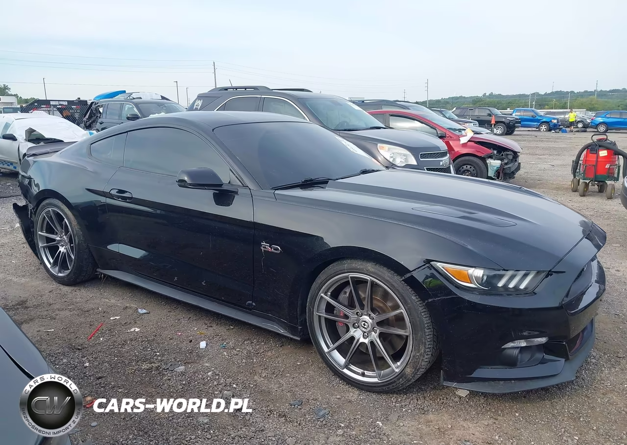 2016 Ford Mustang Gt Premium VIN:1FA6P8CF1G5240293 - 13