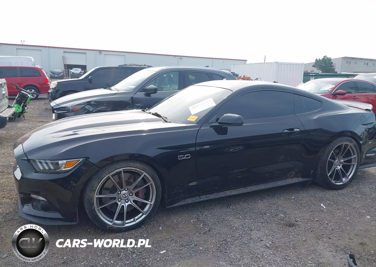 2016 Ford Mustang Gt Premium VIN:1FA6P8CF1G5240293 - 14