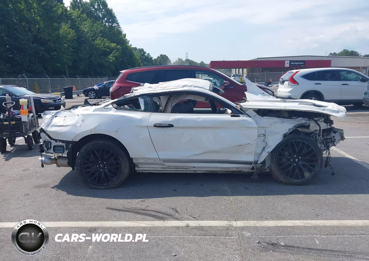 2017 Ford Mustang Gt Premium VIN:1FA6P8CF6H5259097 - 12