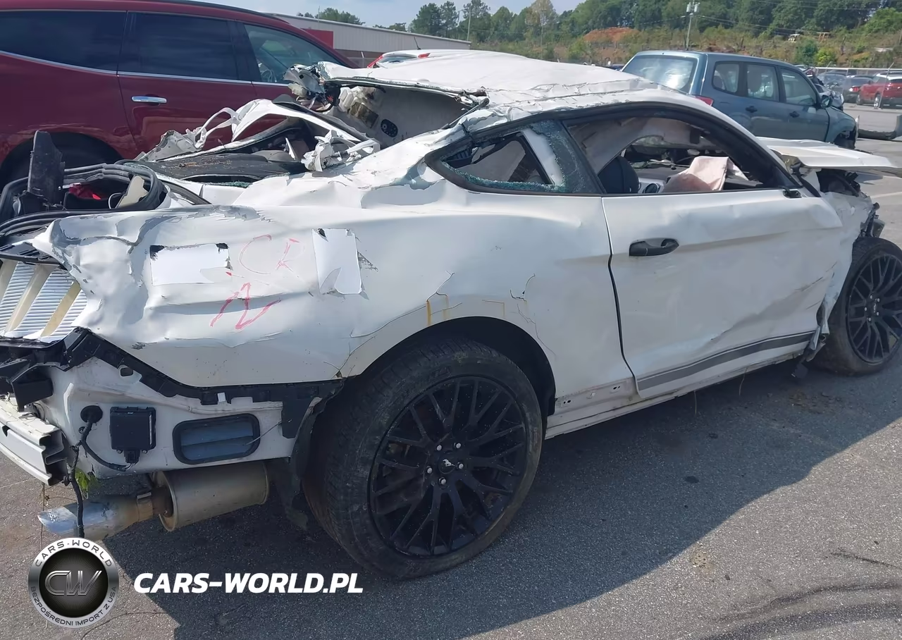 2017 Ford Mustang Gt Premium VIN:1FA6P8CF6H5259097 - 17