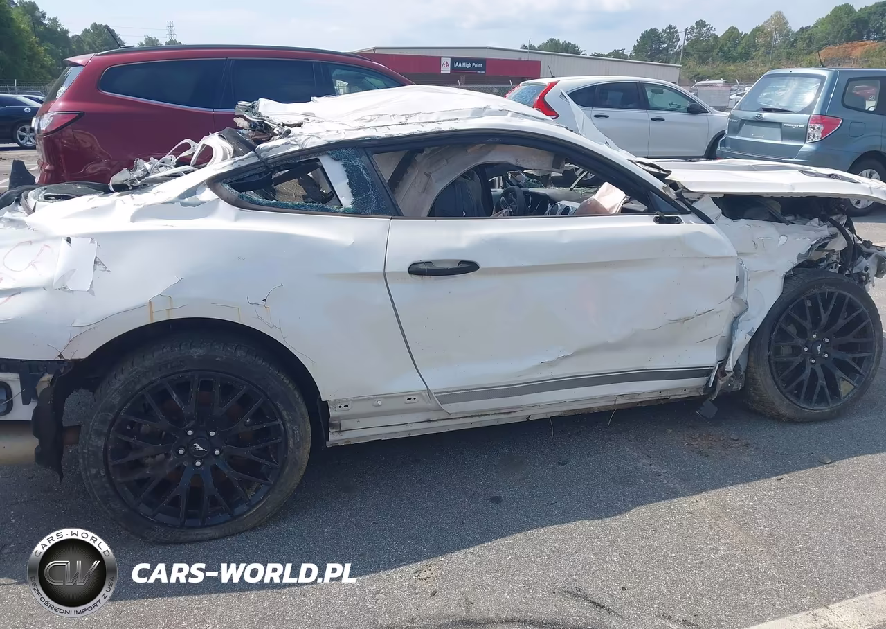 2017 Ford Mustang Gt Premium VIN:1FA6P8CF6H5259097 - 18
