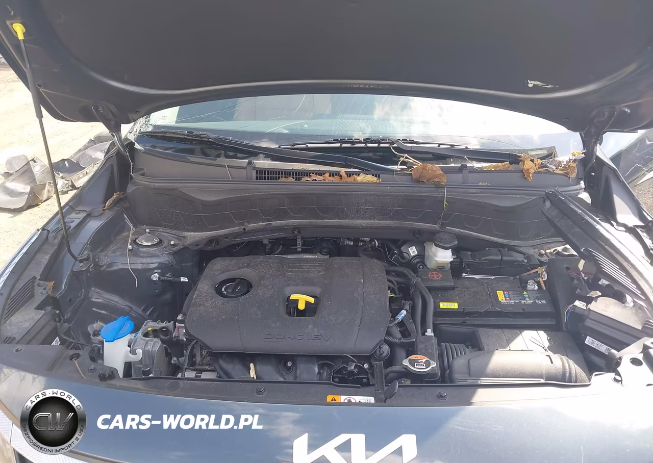 2025 Kia Seltos Ex VIN:KNDERCAA7S7802656 - 10