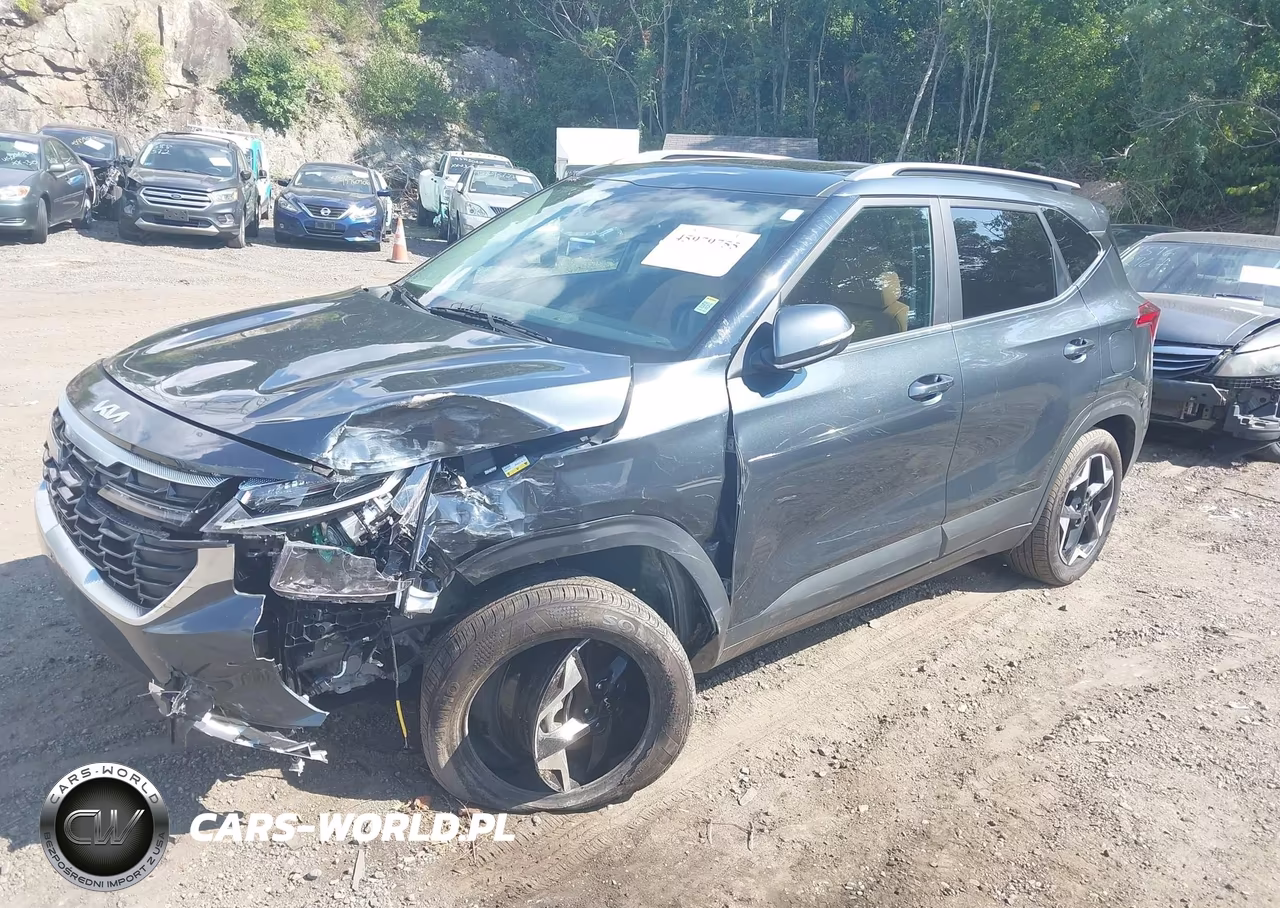2025 Kia Seltos Ex VIN:KNDERCAA7S7802656 - 2