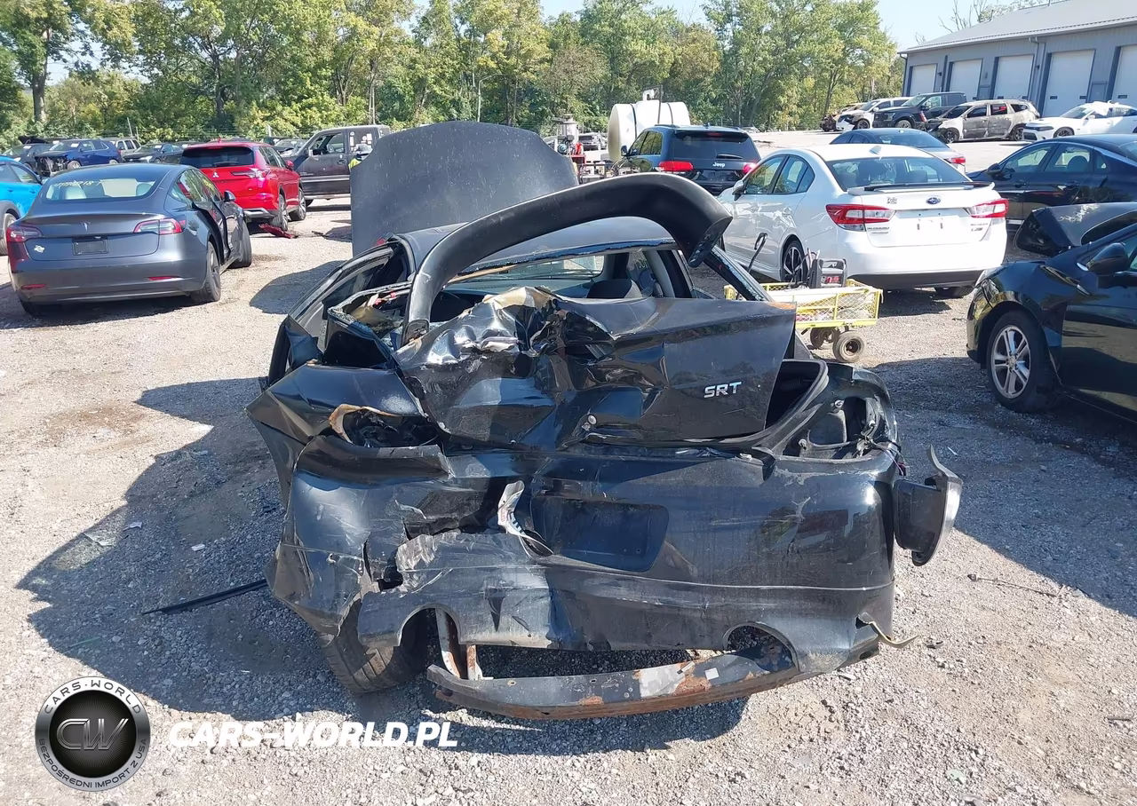 2004 Dodge Srt4 VIN:1B3ES66S14D553266 - 6