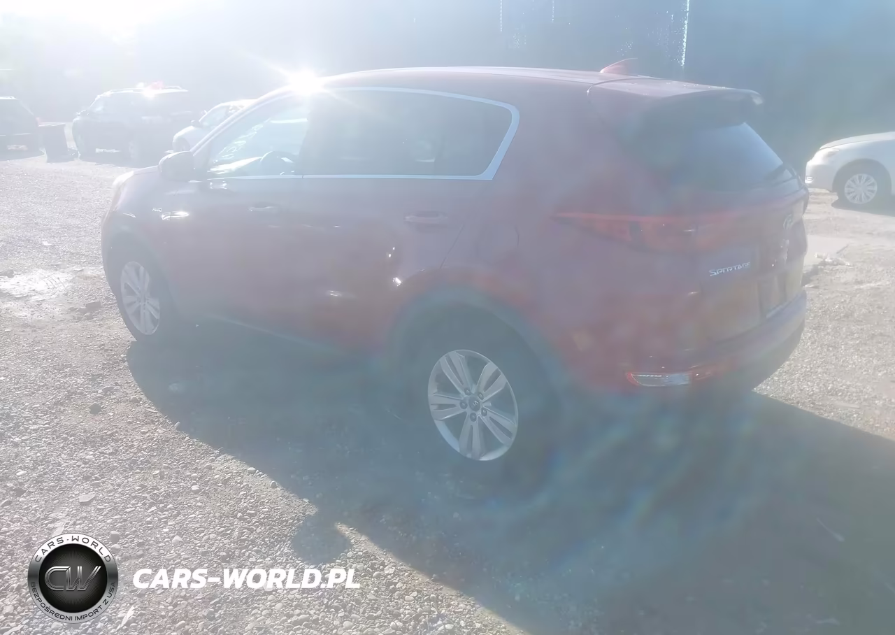 2017 Kia Sportage Lx VIN:KNDPMCAC0H7115536 - 3