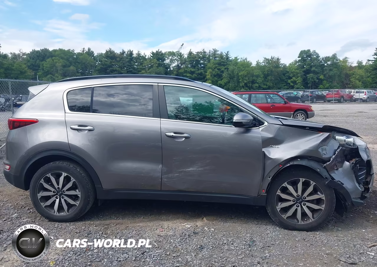 2019 Kia Sportage Ex VIN:KNDPNCAC9K7513641 - 13