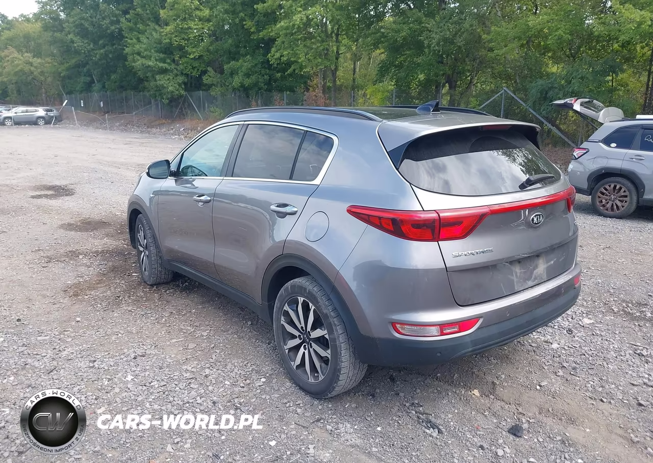 2019 Kia Sportage Ex VIN:KNDPNCAC9K7513641 - 3