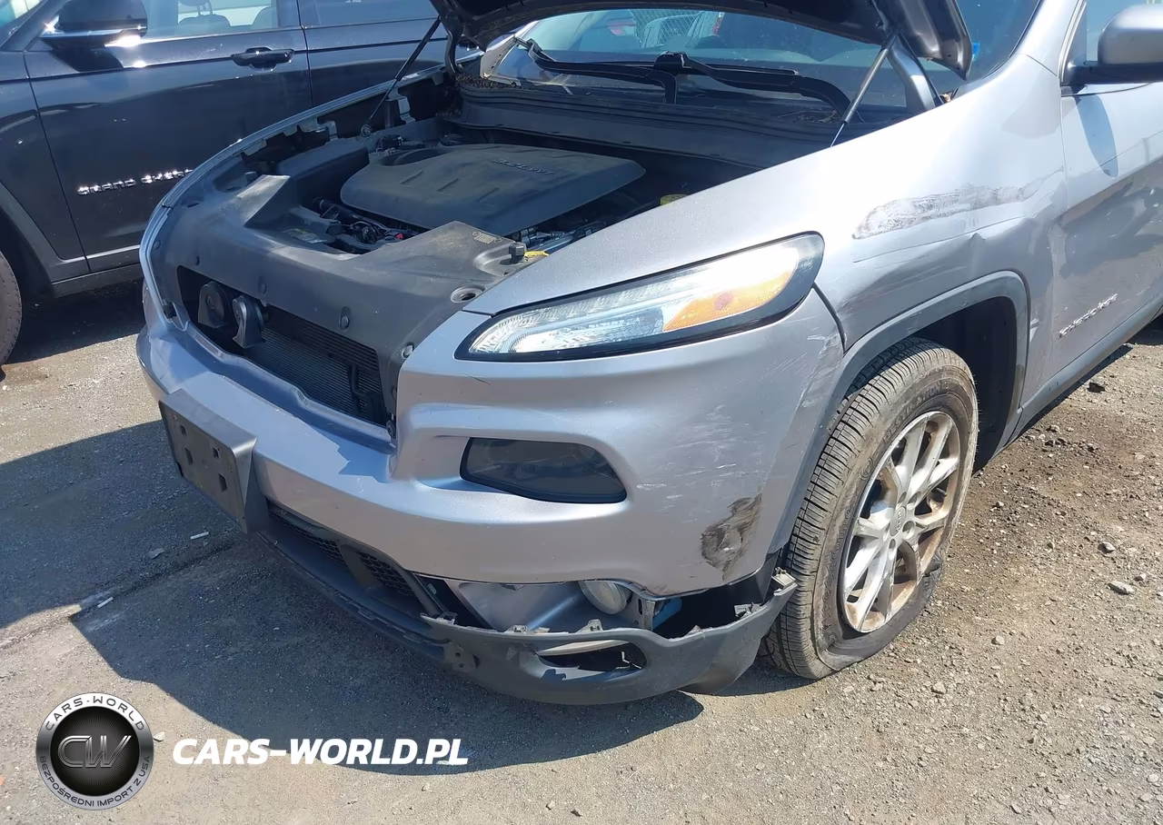 2014 Jeep Cherokee Latitude VIN:1C4PJMCSXEW122496 - 12