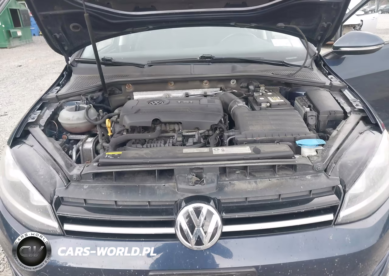 2015 Volkswagen Golf Tsi S 4-Door VIN:3VW217AU5FM011238 - 10