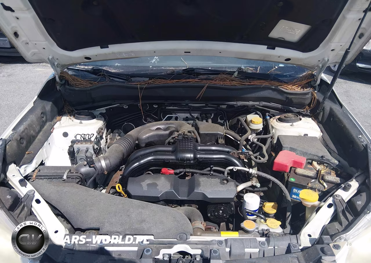 2014 Subaru Forester 2.5I VIN:JF2SJAAC8EH461607 - 10