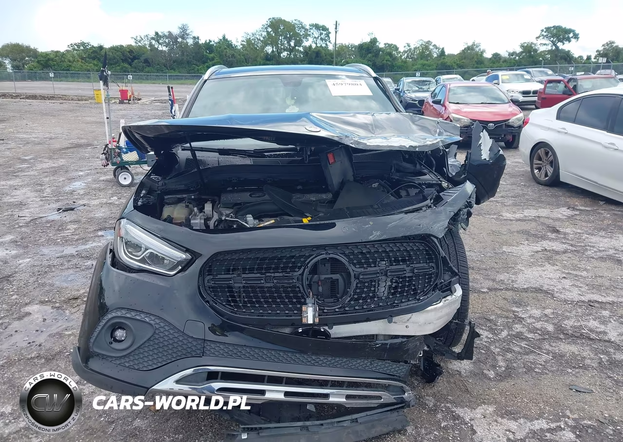 2021 Mercedes-Benz Gla 250 VIN:W1N4N4GB8MJ248443 - 12