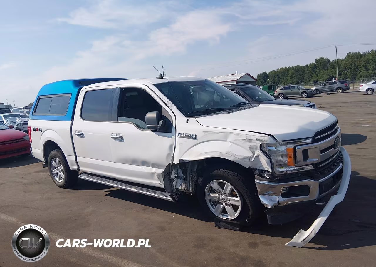 2019 Ford F-150 Xlt VIN:1FTEW1EP4KFD42339 - 1