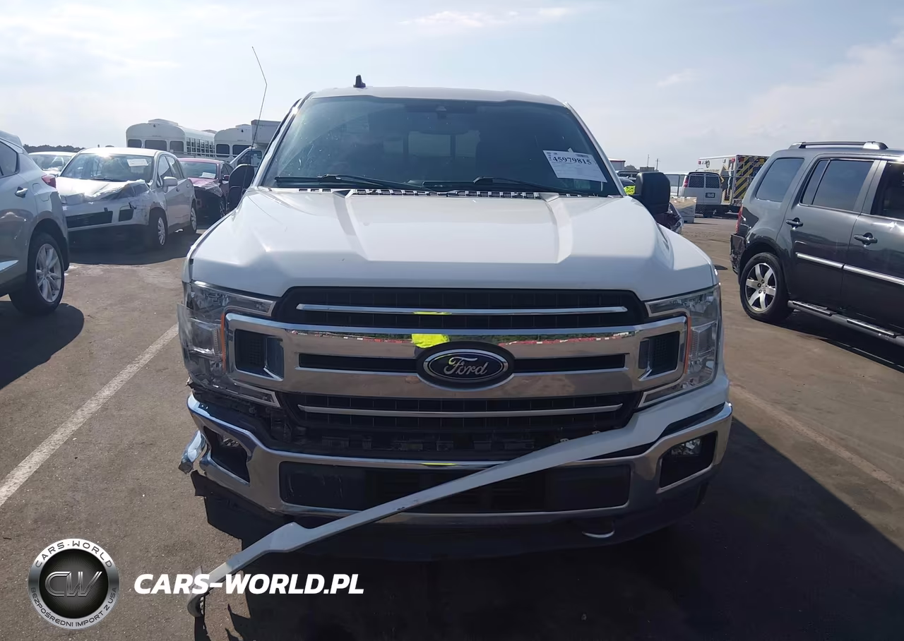 2019 Ford F-150 Xlt VIN:1FTEW1EP4KFD42339 - 12