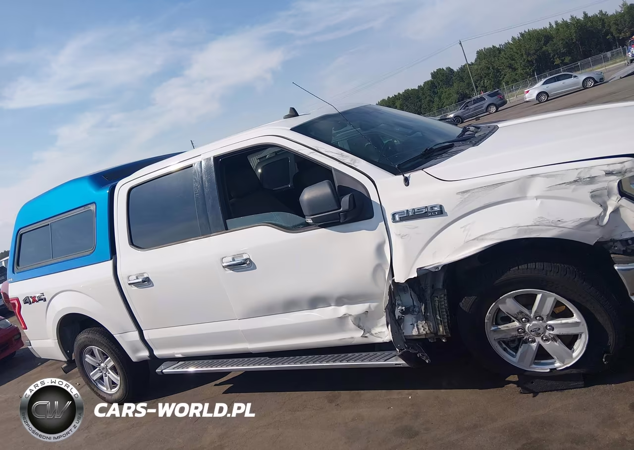 2019 Ford F-150 Xlt VIN:1FTEW1EP4KFD42339 - 13